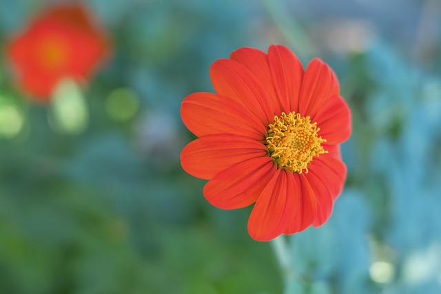 门的应急基 门的应急基