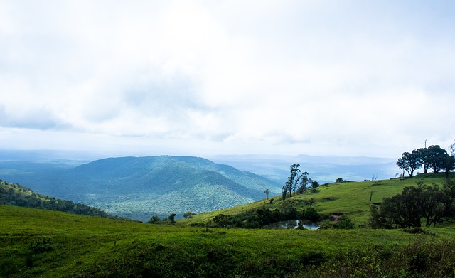 了很大的信 了很大的信