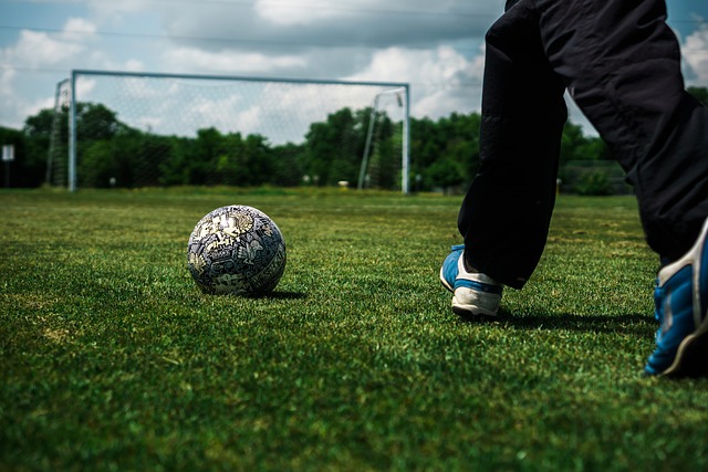 的文化交流 的文化交流