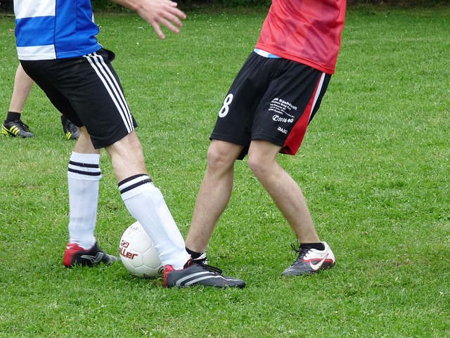 术体系和训 术体系和训