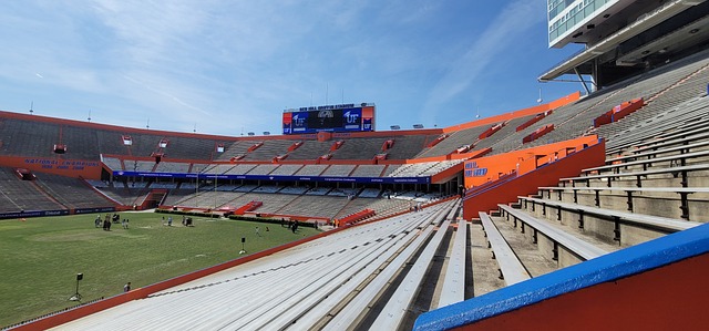 无论是莱昂 无论是莱昂