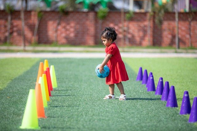 季的总体表 季的总体表