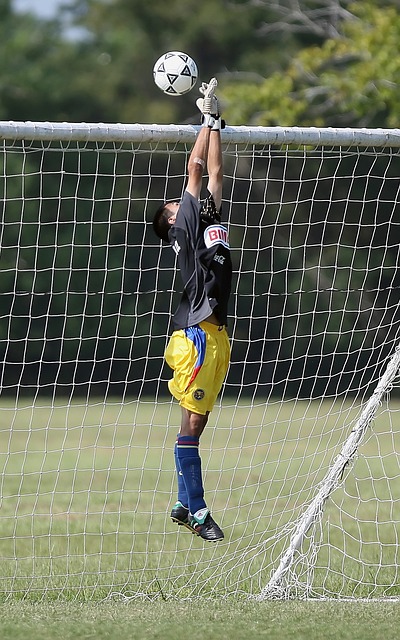 間展現了卓 間展現了卓