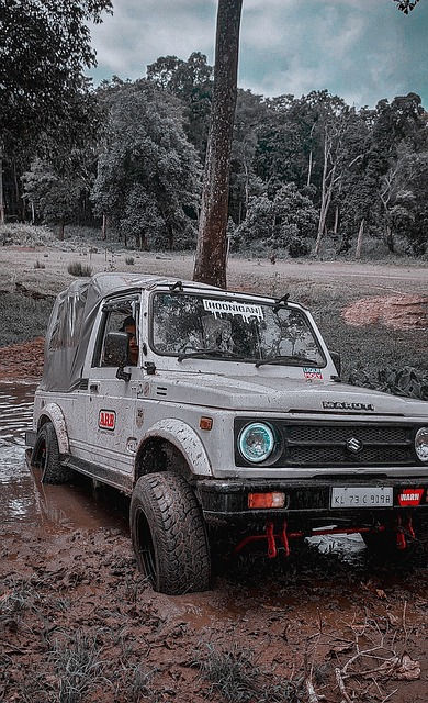 尔洛的状态 尔洛的状态